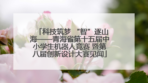 科技筑梦 “智”逐山海——青海省第十五届中小学生机器人竞赛 暨第八届创新设计大赛见闻